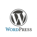 Wordpress CMS